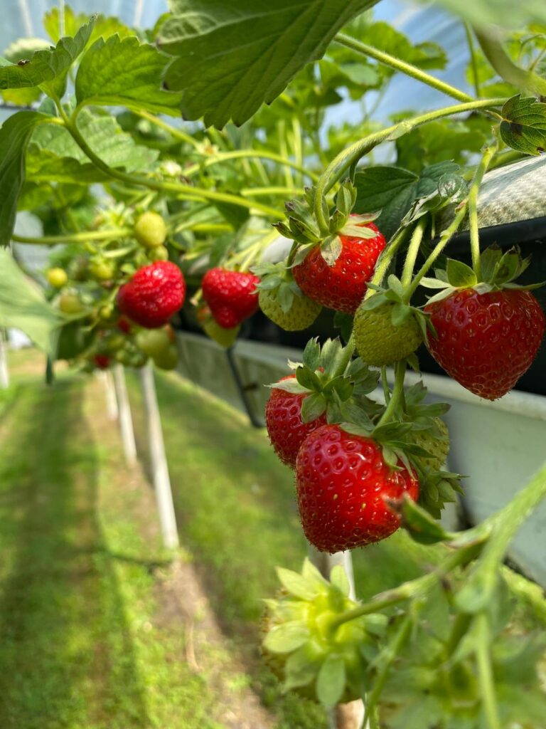 WhatsApp Image 2024-08-14 at 13.23.00